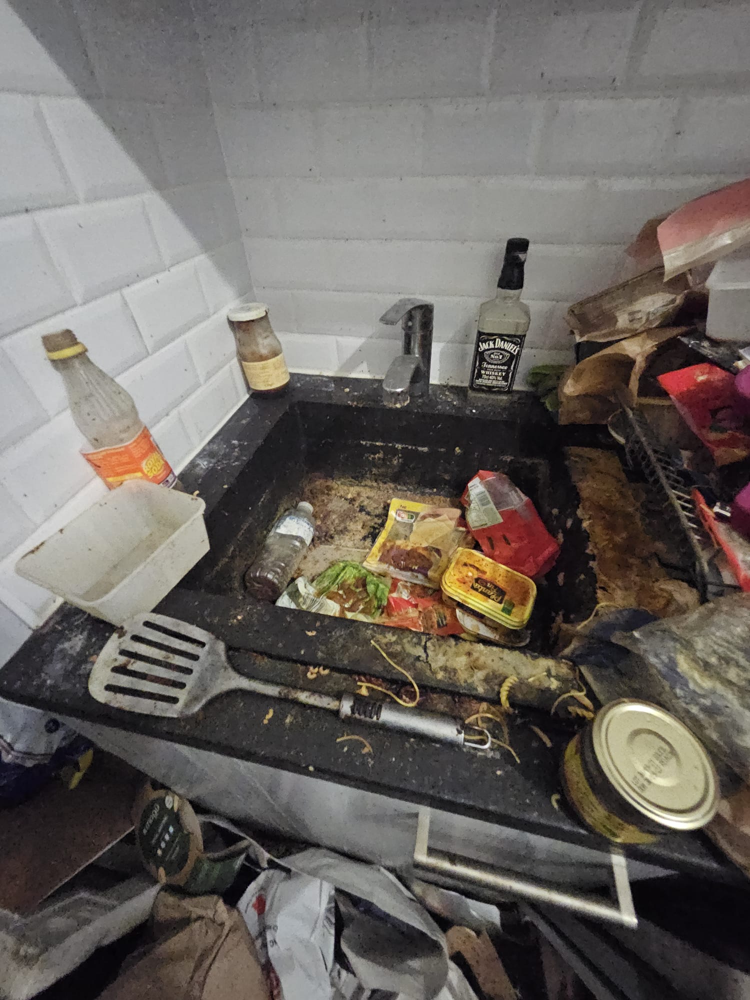 Évier rempli d'aliments en décomposition et de barquettes, bouteille de whisky posée sur le rebord